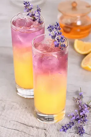 limoncello liqueur cocktails